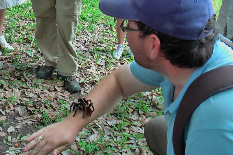 Mexico & Guatemala 2010 - 1128